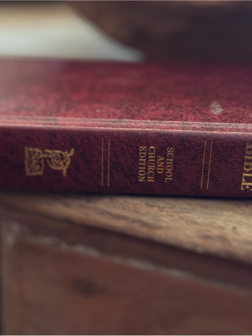 Holy Bible - The New American Bible - Picture 7 of 11